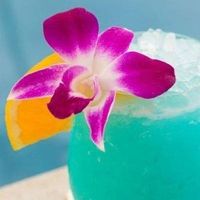 Le foto di Tanja Johanna