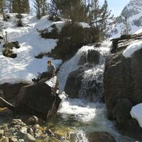 Aurélien Requena's Photo