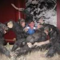 Fotos von Bogdan Witkowski