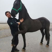 Ahmet Turan  Duman's Photo