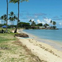 Le foto di Mika Akada