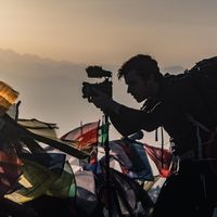 David Williamson的照片