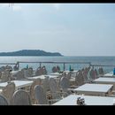 Looking For Travel Buddy's picture