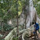 Annapurna Circuit Trek's picture