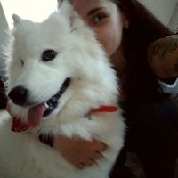 Lily Scordo的照片