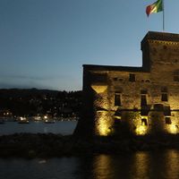 Seven Neilson's Photo