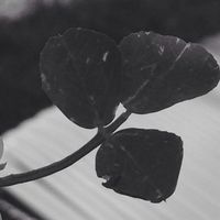 Michelle Sanchez's Photo