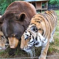 Eric Fonsaiga's Photo