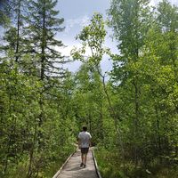 Jordan Gandrey的照片