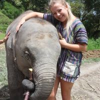 Misha Mikucki的照片