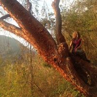 Photos de Paige Shuttleworth