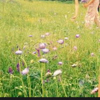 Judith Burgos's Photo