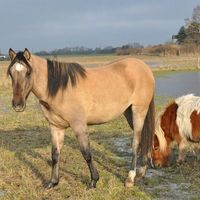 Mette Jægerum Nielsen的照片