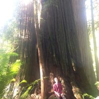 Fotos von Billy Chapman