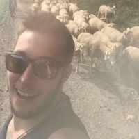 Merlin Lang的照片