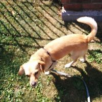 Jared Nathan的照片