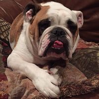 David Smith's Photo