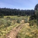 Photo de l'événement Caminata Dinamos/parque San Nicolas Totolopan