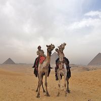 Christopher Norman's Photo