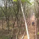 🌿 A Day with Nature — Couchsurfing Potluck Meetup's picture