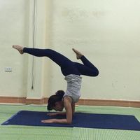 Nguyễn Hồng的照片