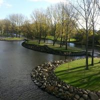 Jae Young Song's Photo