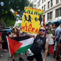 Frankie Cook's Photo