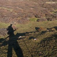 Projesh Biswas的照片