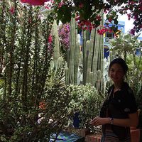 Audrey Barthélémy's Photo