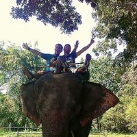 Adrien-Pierre's Photo