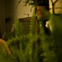 Travis DeMello's Photo