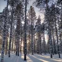 John Anton P的照片