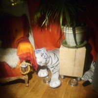 Marlies Fort的照片