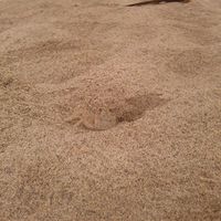 Zdjęcia użytkownika Juan Pablo Vargas Beltrán