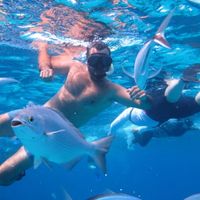 Ramon F. Grajales's Photo