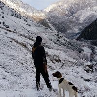 Numair  shah zafar's Photo