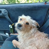 Anissa Bernard's Photo