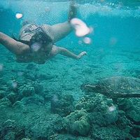 Meike de Nooy的照片