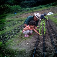 Фотографии пользователя ECO BATEY