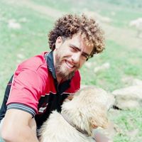 Harel Shiloni's Photo