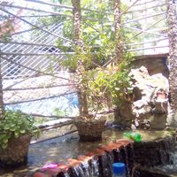 mohammed essaoui的照片