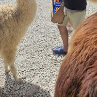 walter Duarte的照片