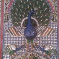 Olivier Nagy's Photo