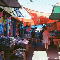 Matilde Pietrabissa's Photo