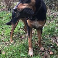 Fotos de Keiran McGavin