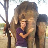 David Gotsiridze的照片