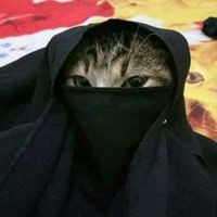 Sabriya Khan的照片