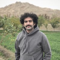 Amir Karimifar的照片
