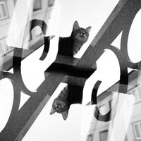 Фотографии пользователя Pierre Hassenboehler