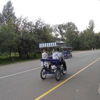 Арина Вольская's Photo